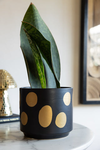 The Handcrafted Black & Metallic Planter in Medium, styled with a plant inside.