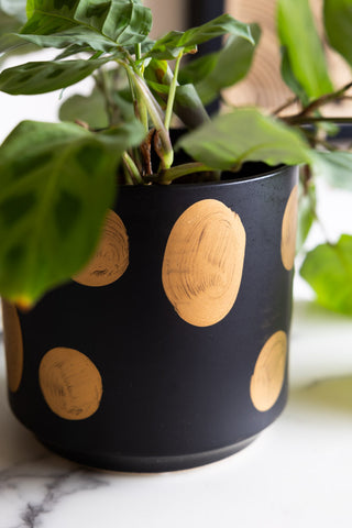 The Handcrafted Black & Metallic Planter in Small, styled with a plant inside.