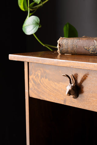 The Hare Head Cupboard/Drawer Knob styled on a wooden drawer, with a book and a plant in the background.