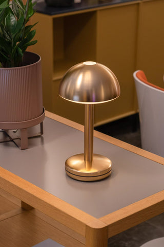 The Humble - Domed Cable-Free Mood Lighting Lighting in Gold  displayed on a small table next to a plant.