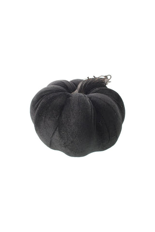 Cutout of the Large Black Velvet Pumpkin on a white background.