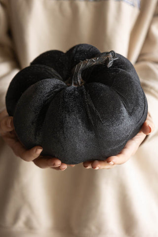 The Large Black Velvet Pumpkin being held in a model's hands.