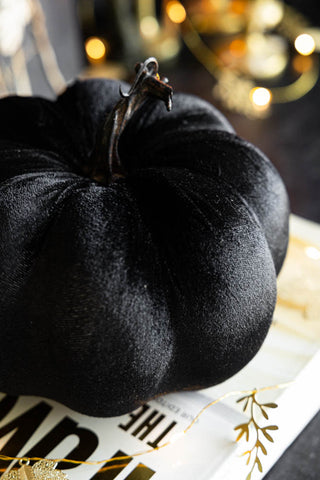 Detail shot of the Large Black Velvet Pumpkin styled on a book with some fairy lights.