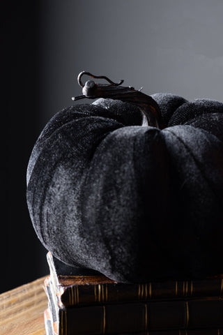 The Large Black Velvet Pumpkin displayed on books detail