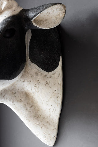 Close-up of the Large Faux Cow Head Wall Art displayed on a black wall.