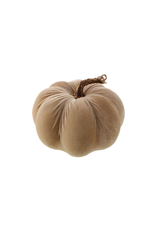 Cutout of the Large Cream Velvet Pumpkin on a white background.