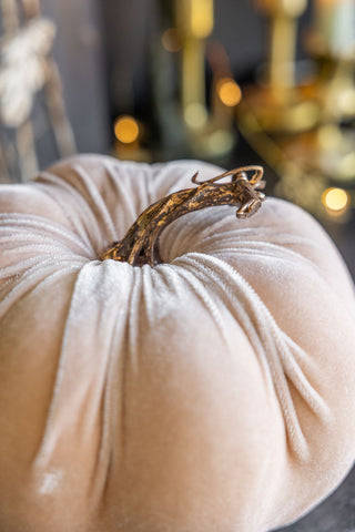 Detail shot of the top of the Large Cream Velvet Pumpkin.