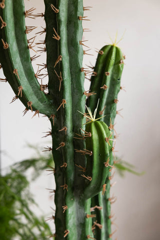 Detail shot of the Large Faux Cactus Plant in front of a plant and a white wall.