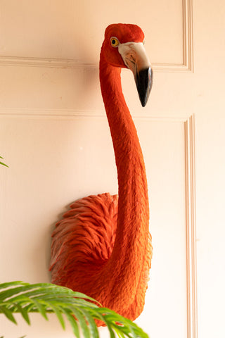 The Large Faux Flamingo Head Wall Art on the wall, styled next to a plant.