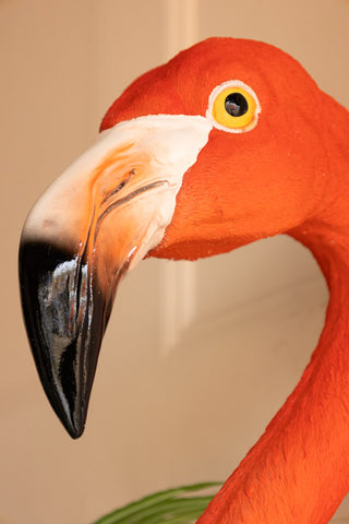 Close-up of the Large Faux Flamingo Head Wall Art.