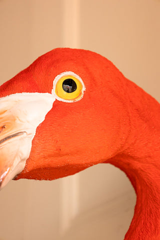 Detail shot of the eye on the Large Faux Flamingo Head Wall Art.