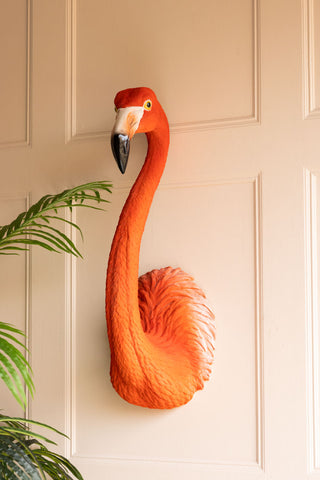 The Large Faux Flamingo Head Wall Art displayed on a light panelled wall next to a plant.