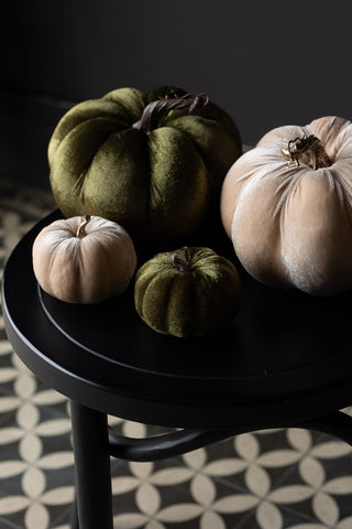 The Large Green Velvet Pumpkin with the cream version and the matching smaller versions, on a black side table.