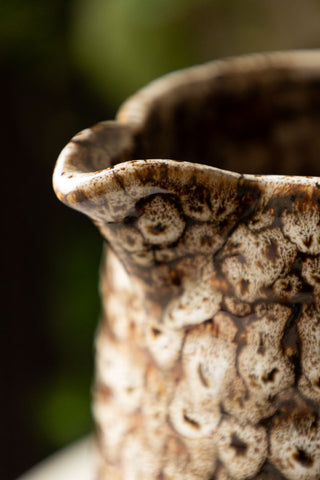 Detail shot of the spout of the Large Mottled Brown Jug.