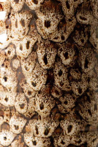 Detail shot of the design on the Large Mottled Brown Jug.