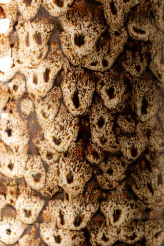 Close-up of the design of the Large Mottled Brown Jug.