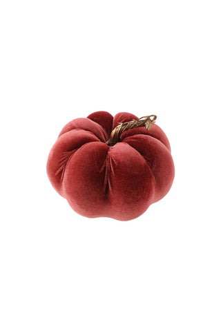 Cutout of the Large Dusky Rose Velvet Pumpkin on a white background.