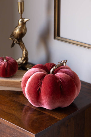 The Large Dusky Rose Velvet Pumpkin styled on a wooden unit with the smaller version, some books and a bird candlestick holder.