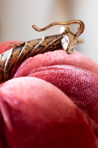 Detail shot of the stem of the Large Dusky Rose Velvet Pumpkin.