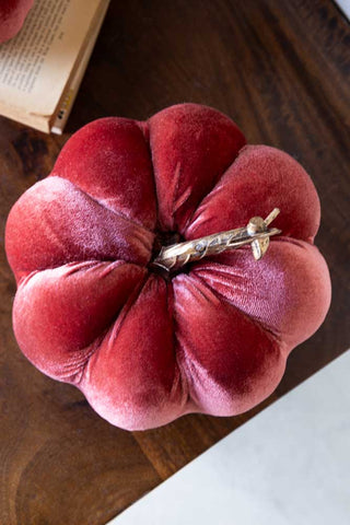 The Large Dusky Rose Velvet Pumpkin seen from above, styled on a wooden surface with some books.