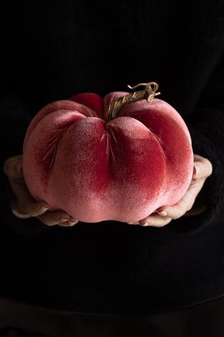 The Large Dusky Rose Velvet Pumpkin being held in a model's hands.