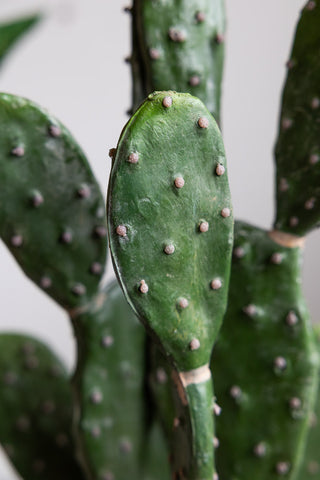 A close up image of the centre of a large faux cactus plant.