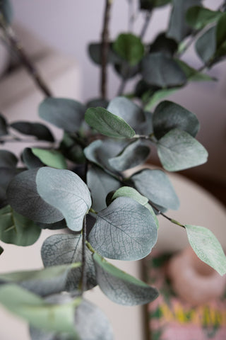 A close up image of the leaves and stem of a faux eucalyptus plant.