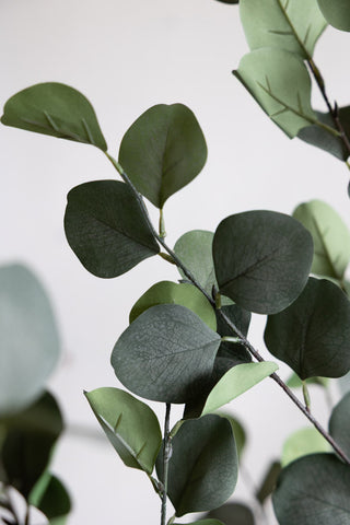 A close up image of the leaves of a faux potted eucalyptus plant. 