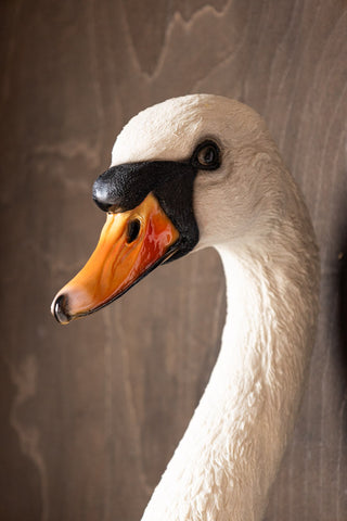 Close-up of the face of the Large White Faux Swan Head Wall Art.