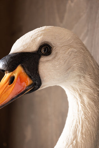 Detail shot of the face of the Large White Faux Swan Head Wall Art.