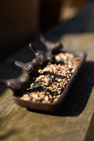 The Love Birds Tray displayed on a wooden surface in the sun filled with bird seed.