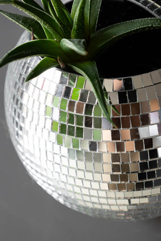 Close-up of silver disco mirror ball holder, showing tiny silver tiles and green cactus