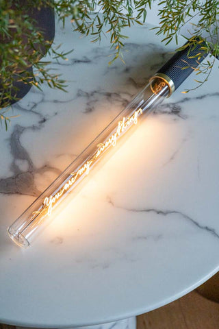 The Message In A Tube Light - You Are My Everything displayed on a marble table with a plant.