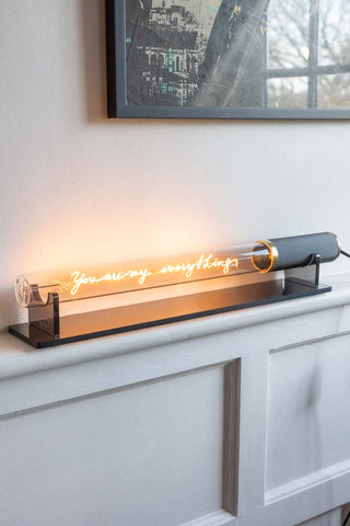 The Message In A Tube Light - You Are My Everything displayed on a shelf beneath an art print.