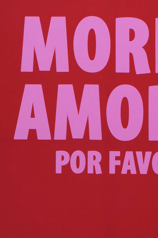 Detail shot of the text on the More Amor Canvas.