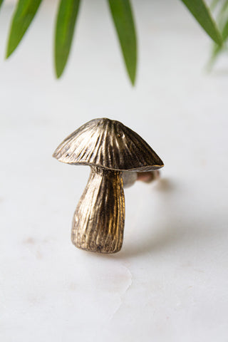 The Mushroom Knob - Gold displayed on a white surface with a plant also in shot.