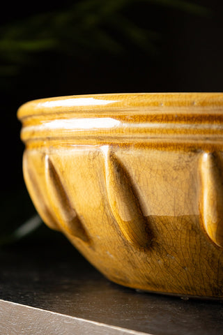 Detail shot of the design on the side of the Mustard Ceramic Serving/Fruit Bowl.