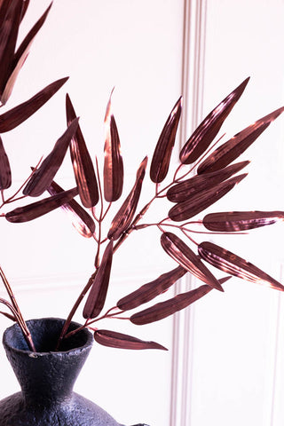 Close-up of the Ornamental Bamboo In Bordeaux displayed in a black vase.