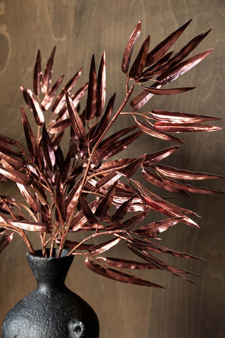 The Ornamental Bamboo In Bordeaux in a black vase in front of a wooden background.