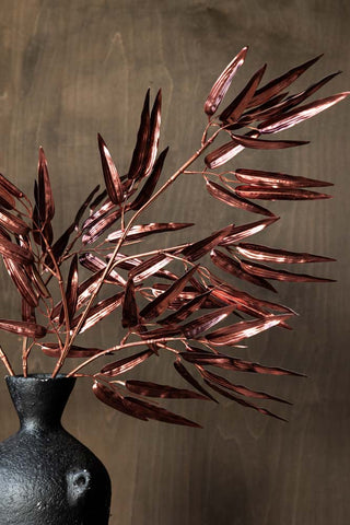 The Ornamental Bamboo In Bordeaux styled in a black vase in front of a wooden wall.