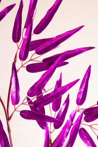 Detail shot of the Ornamental Bamboo In Purple.