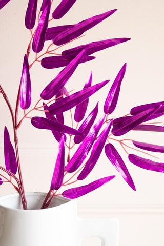 Close-up of the Ornamental Bamboo In Purple displayed in a white vase. 