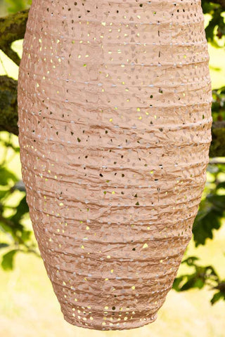 Close-up image of the Oval Shaped Peach Outdoor Garden Lantern.