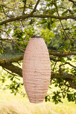 Image of the Oval Shaped Peach Outdoor Garden Lantern hanging on a branch.