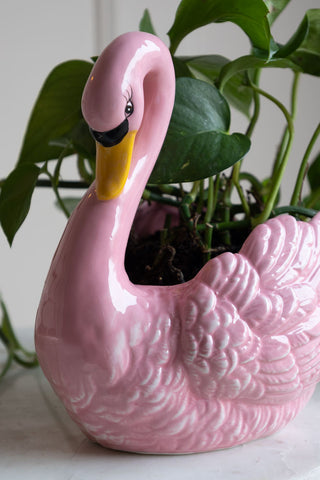 A detail shot of the Pink Swan Display Bowl showing the yellow beak, and black eyes with quirky long eyelashes.