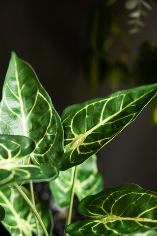 A close up image of the leaves from a faux alocasia plant. 