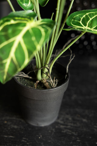 A close up image of a black pot holding a faux alocasia plant. 