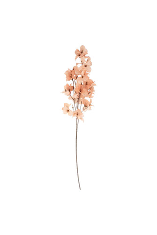 Cutout image of the Pretty Pink Blossom Flower Stem.