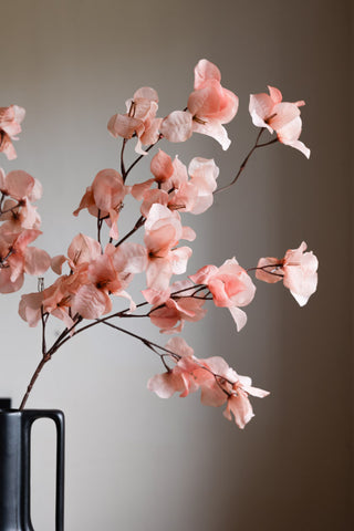 Close-up of the Pretty Pink Blossom Flower Stem in a vase.