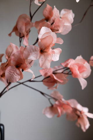 Detail shot of the Pretty Pink Blossom Flower Stem.